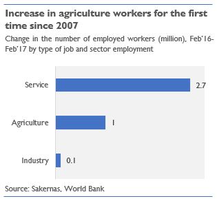 Graph - increase in agriculture workers 2