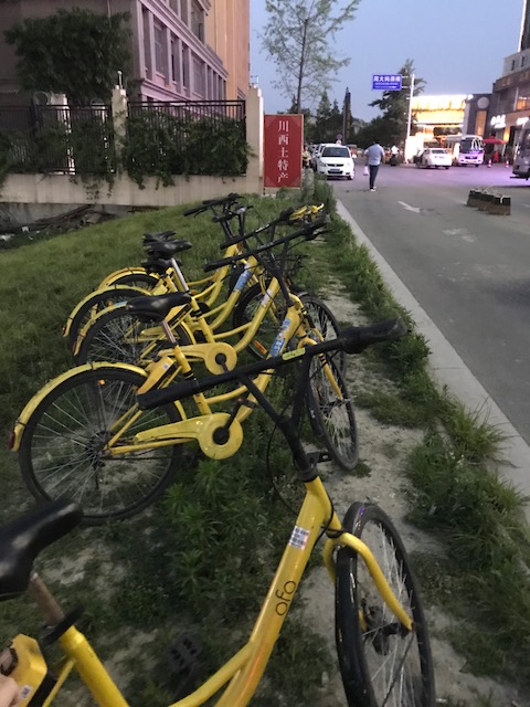 The yellow Ofo bikes spotted in Lhasa, Tibet.